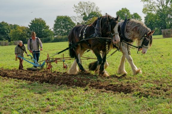 Ploughing Competition #Straight Furrows