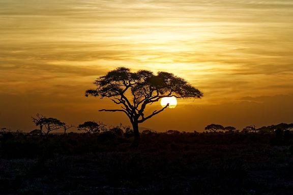 Rise and Shine #Glorious Sunsets